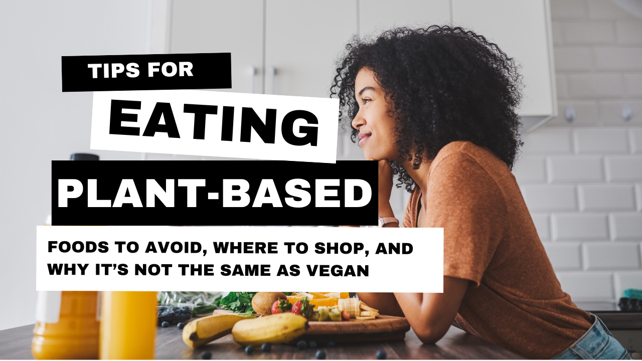 Tips For Eating Plant-Based: Finding The Right Foods For You